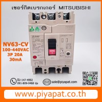 NV63-CV รูปโชว์